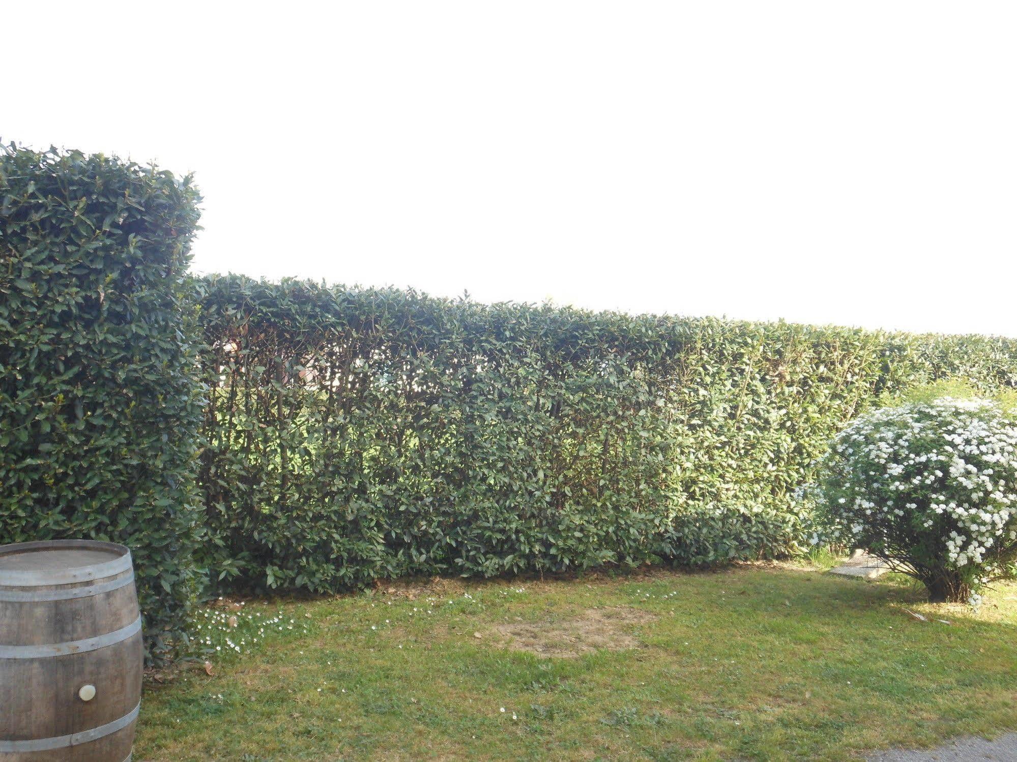 La Corte Capannori